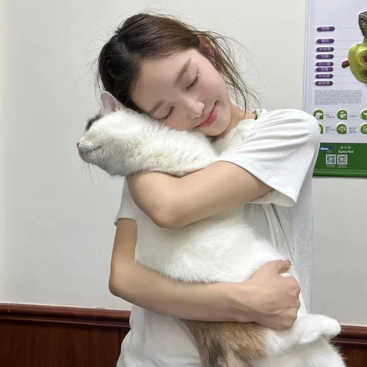 怎样做视频号投诉链接呢，如何制作视频号投诉链接？一文详解操作步骤与注意事项